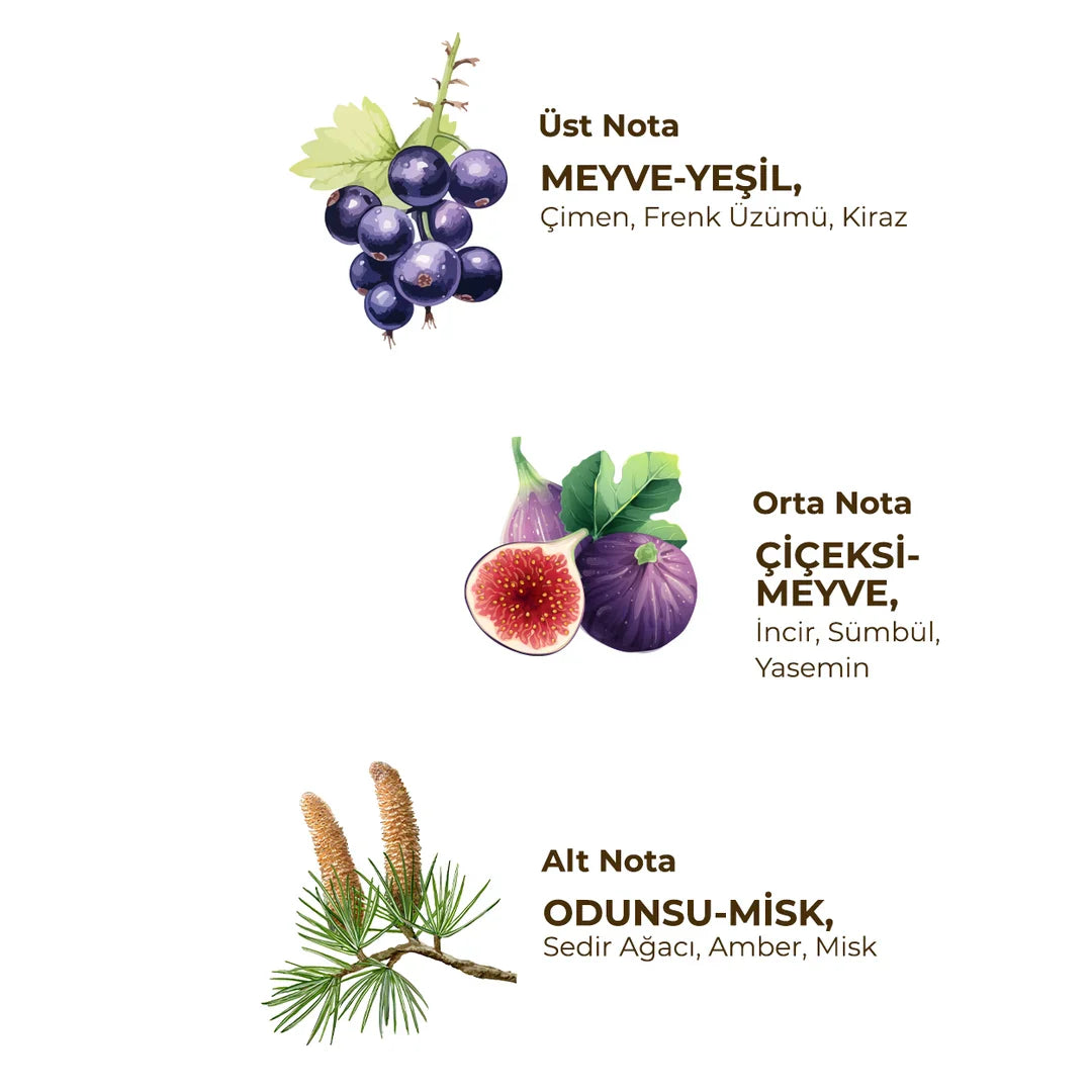 Eyüp Sabri Tuncer - Wild Fig - 150 ml - Eau De Cologne – Glazen Fles