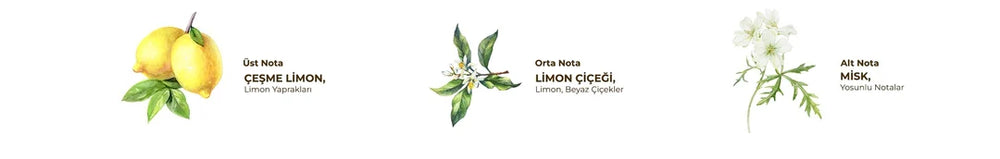 Eyüp Sabri Tuncer - Cesme Limonu Kolonya - 150 ML - Spray