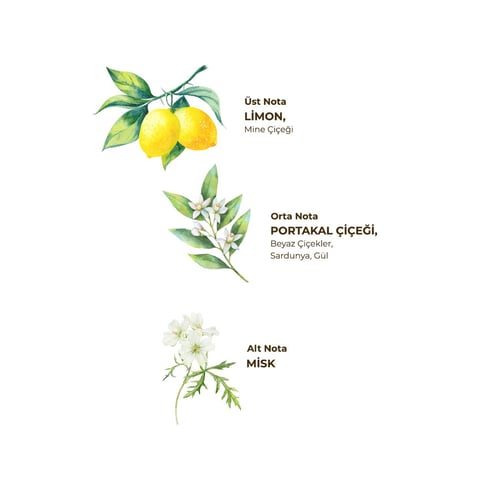 Eyüp Sabri Tuncer - Verbena & Zinde - Eau de Cologne - 150 ml Spray (Kolonya / Desinfectie / Aftershave)